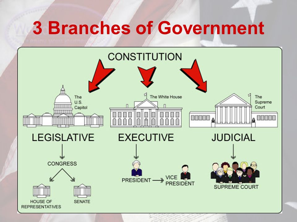 3 Branches of Government
