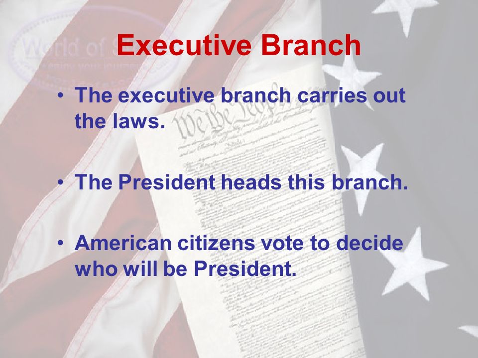 Executive Branch The executive branch carries out the laws.