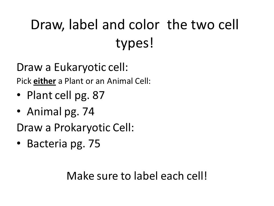 Draw, label and color the two cell types.