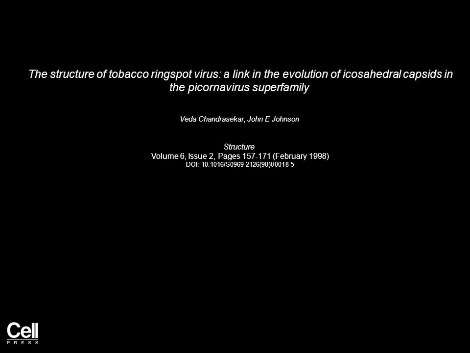 The structure of tobacco ringspot virus: a link in the evolution of icosahedral capsids in the picornavirus superfamily Veda Chandrasekar, John E Johnson Structure Volume 6, Issue 2, Pages (February 1998) DOI: /S (98)