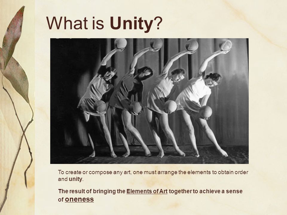 Elements that are organized to obtain Unity. space