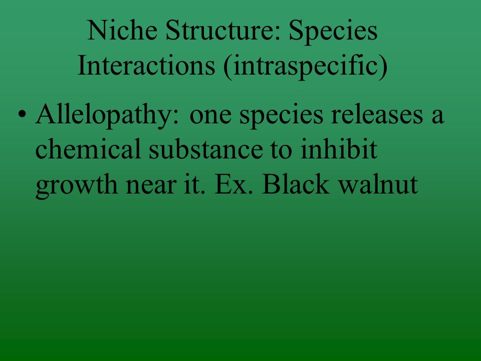Niche Structure: Species Interactions INTRAspecific competition: competition for resources between members of the same species