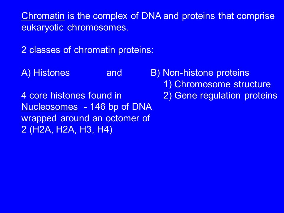 chromosome structure and function ppt The structure and function of genes | medical genetics: an.