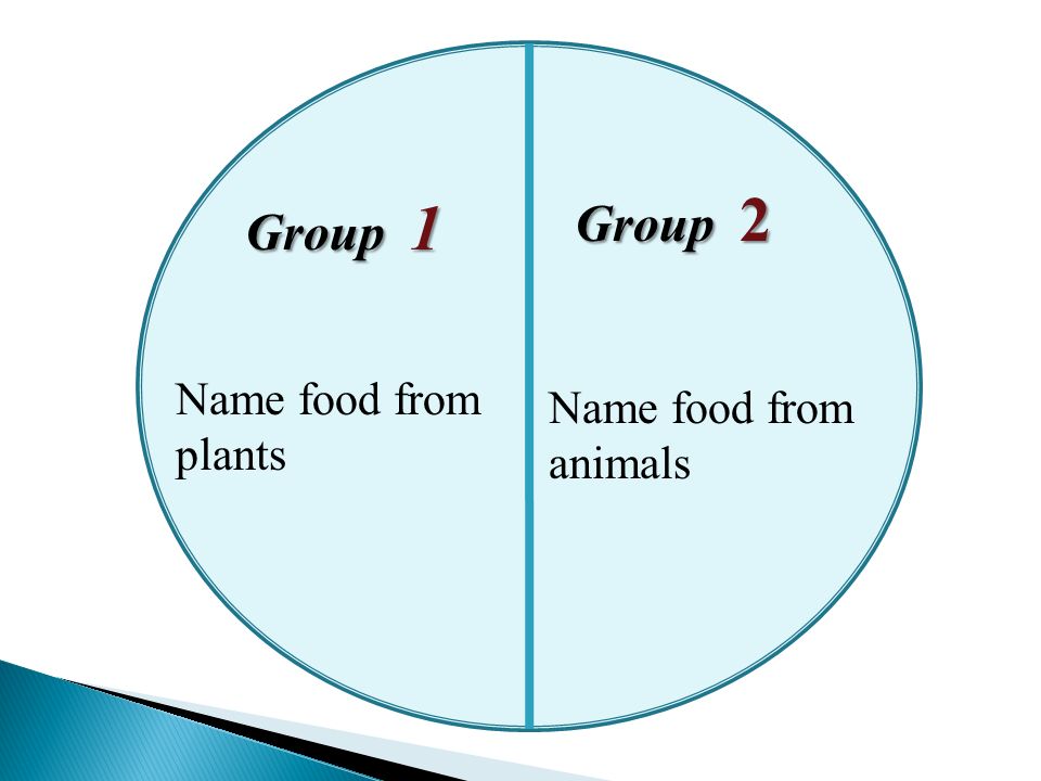 Group 2 Group 1 Name food from plants Name food from animals