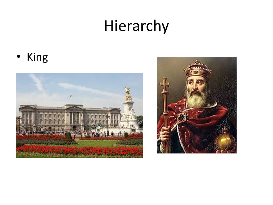 Hierarchy King