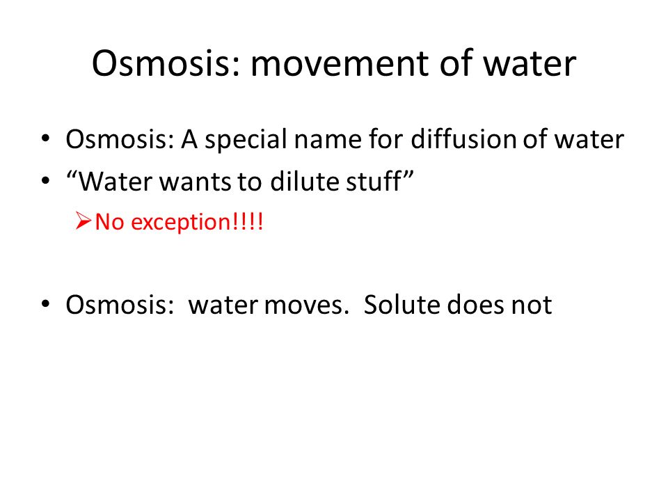 Osmosis: movement of water Osmosis: A special name for diffusion of water Water wants to dilute stuff  No exception!!!.