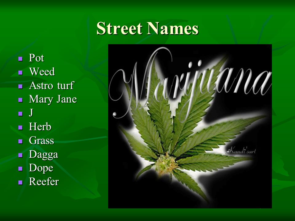 Marijuana Jordan, Chris, and David. Street Names Pot Pot Weed Weed Astro  turf Astro turf Mary Jane Mary Jane J Herb Herb Grass Grass Dagga Dagga  Dope. - ppt download