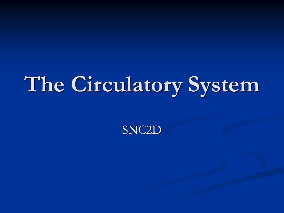 The Circulatory System SNC2D