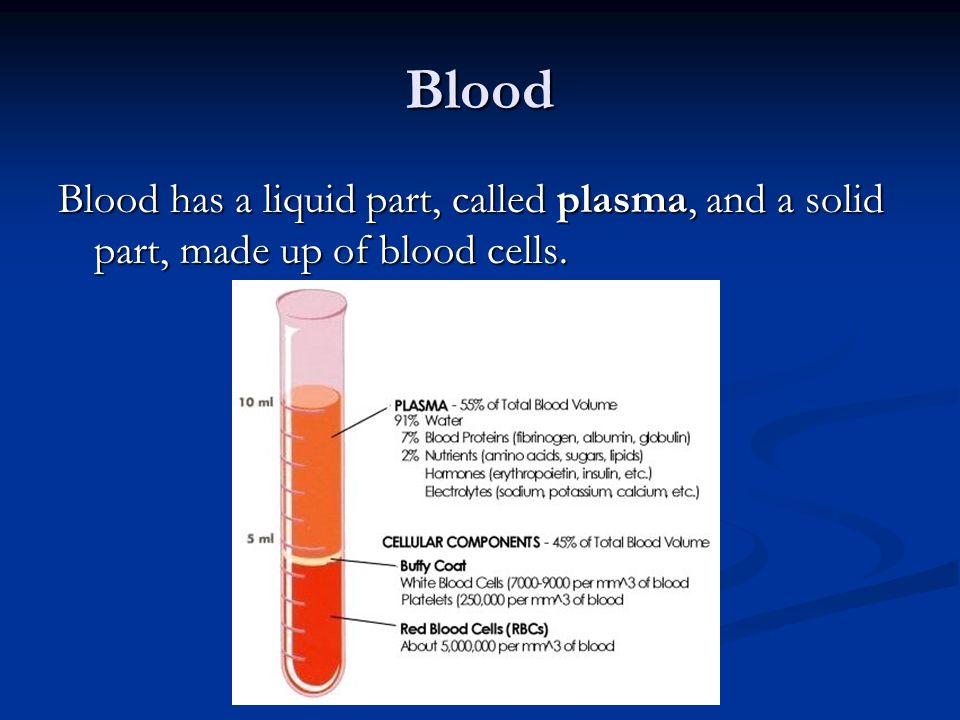 Blood Blood has a liquid part, called plasma, and a solid part, made up of blood cells.