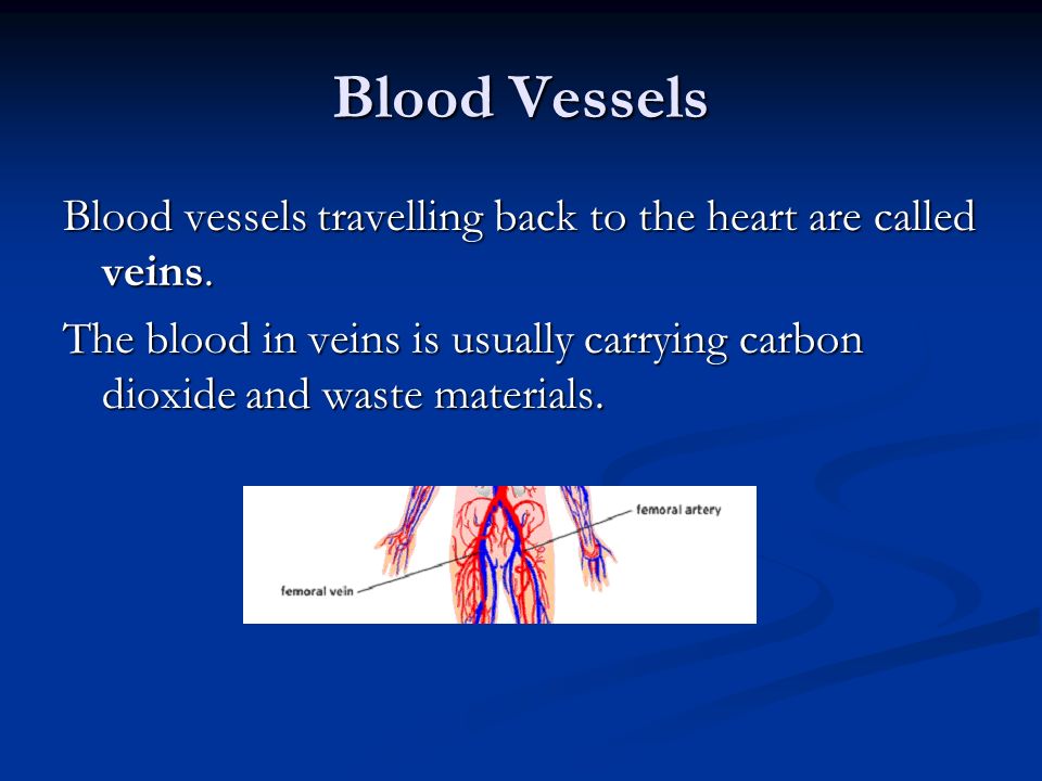 Blood Vessels Blood vessels travelling back to the heart are called veins.