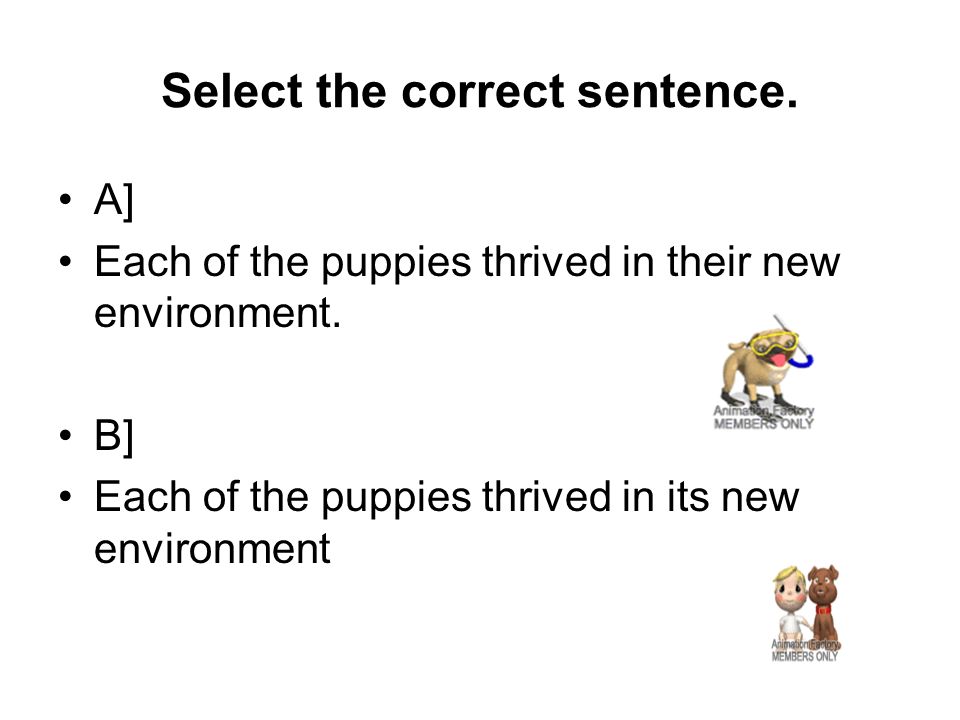 Select the correct sentence. A] Each of the puppies thrived in their new environment.