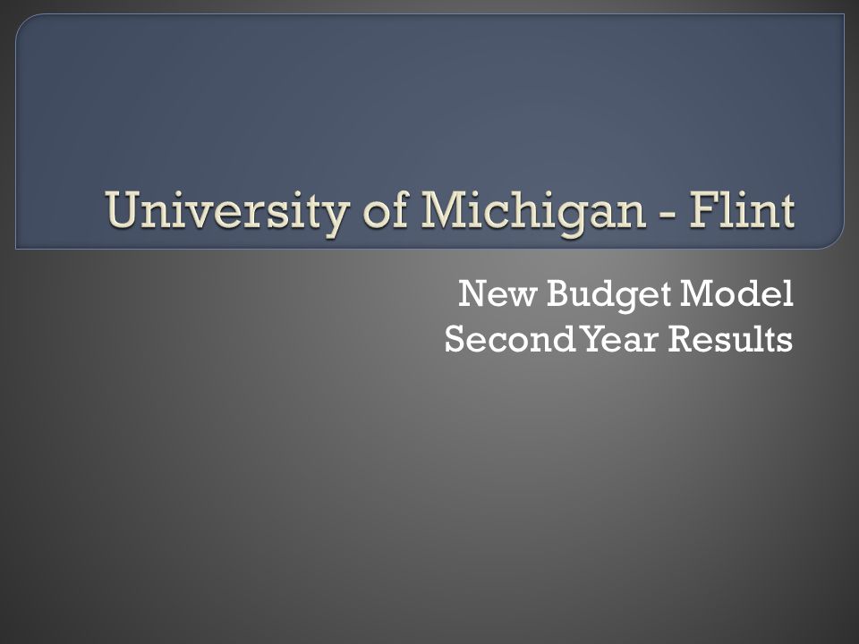 New Budget Model Second Year Results