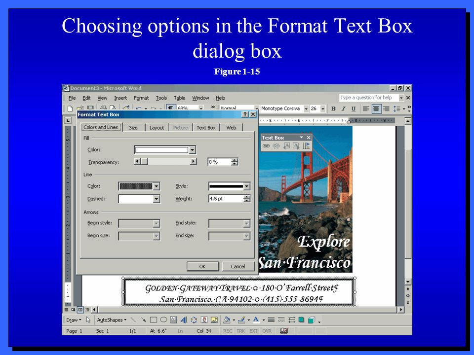 Choosing options in the Format Text Box dialog box Figure 1-15