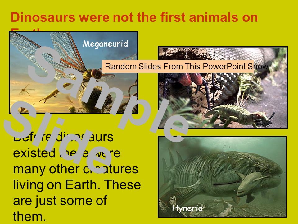 Dinosaurs were not the first animals on Earth.