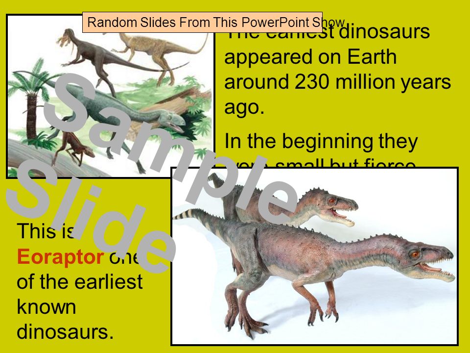 The earliest dinosaurs appeared on Earth around 230 million years ago.