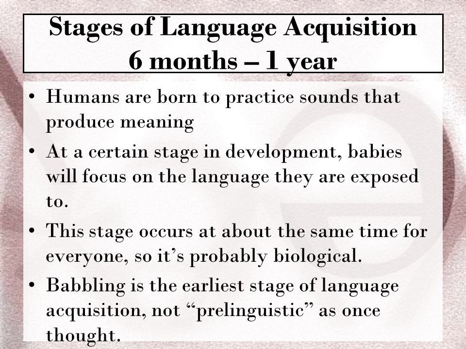 Stages of Language Acquisition 6 months – 1 year Humans are born to practice sounds that produce meaning At a certain stage in development, babies will focus on the language they are exposed to.