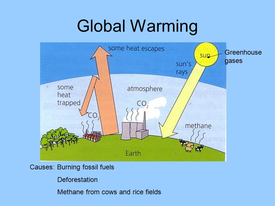 Global warming causes this is gay