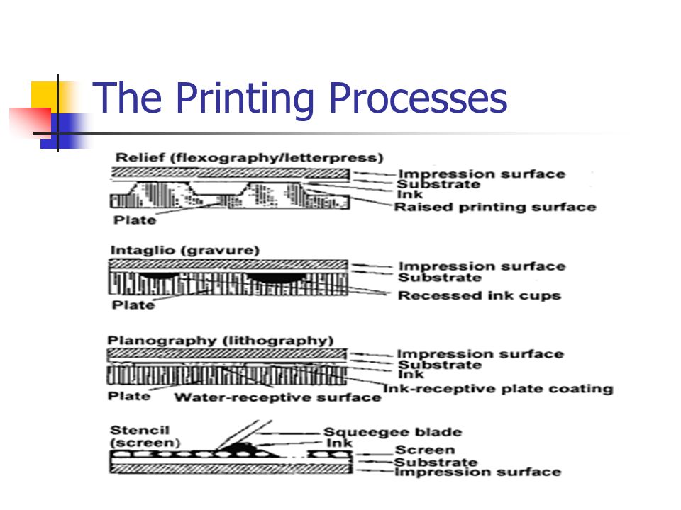 Salg stå på række ejendom Offset Lithography Flexography Gravure Printing. The Printing Processes. -  ppt download