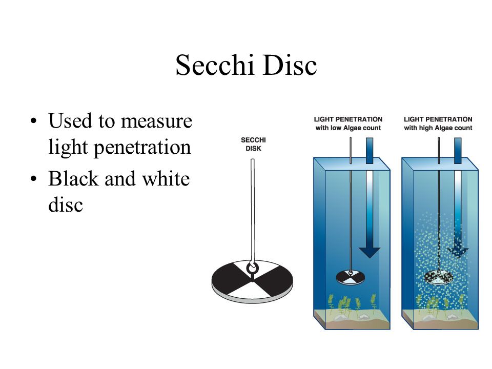 Secchi Disc Used to measure light penetration Black and white disc
