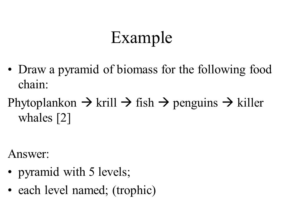 Example Draw a pyramid of biomass for the following food chain: Phytoplankon  krill  fish  penguins  killer whales [2] Answer: pyramid with 5 levels; each level named; (trophic)