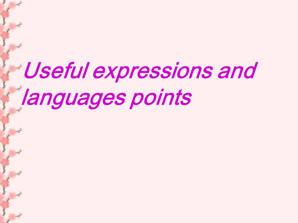 Useful expressions and languages points