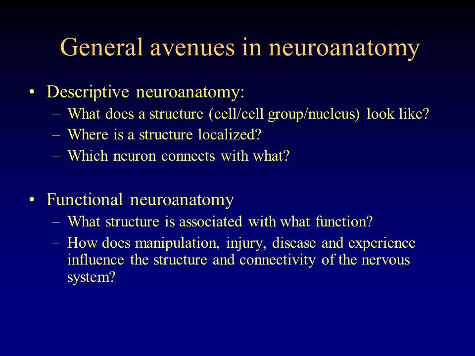 Neuroanatomical Techniques. General avenues in neuroanatomy Descriptive neuroanatomy: –What does a structure (cell/cell group/nucleus) look like? –Where. - ppt download