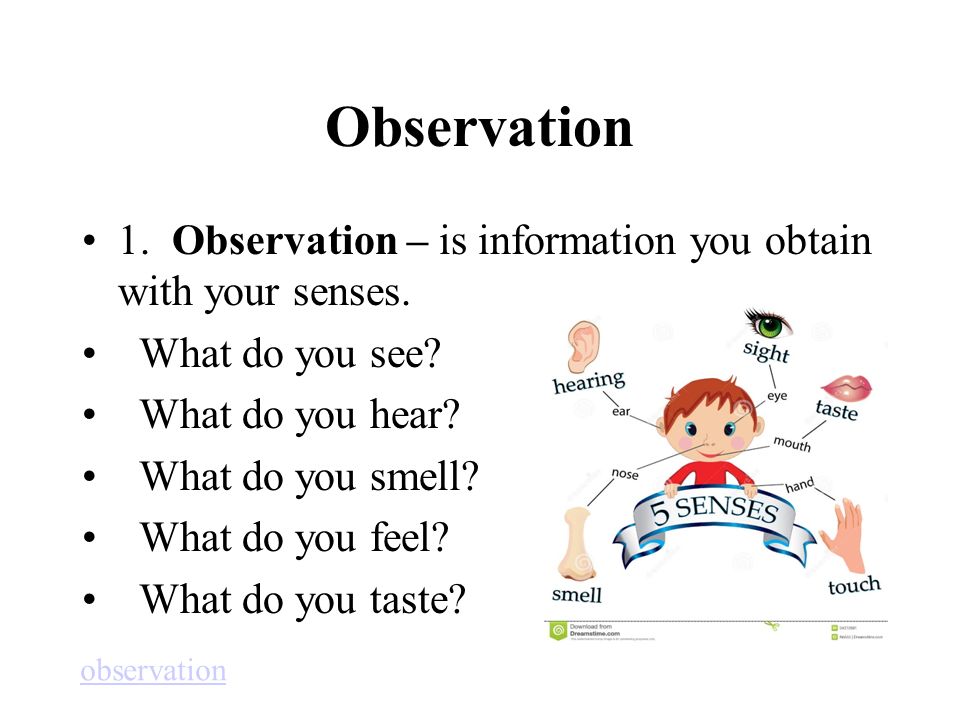 Presentation of Data Information obtain from observation can be presented in a variety of forms to make it easier for the viewer to obtain facts quickly.