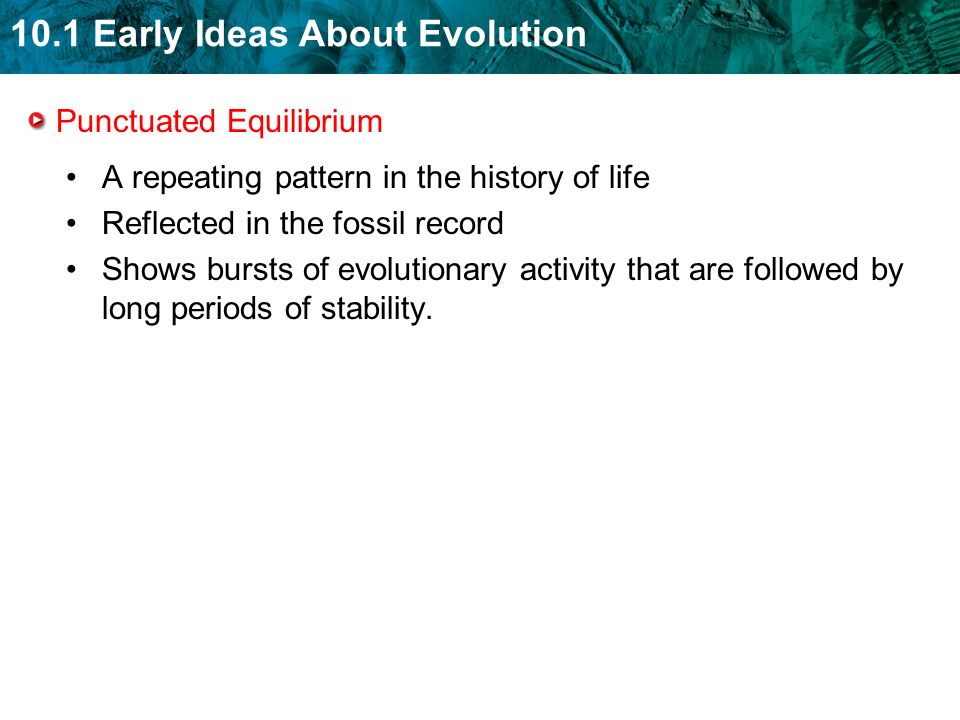 10.1 Early Ideas About Evolution Punctuated Equilibrium A repeating pattern in the history of life Reflected in the fossil record Shows bursts of evolutionary activity that are followed by long periods of stability.