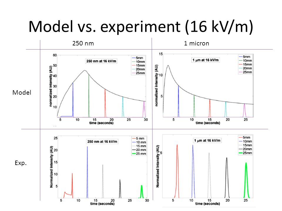 Model vs. experiment (16 kV/m) Model Exp. 250 nm1 micron
