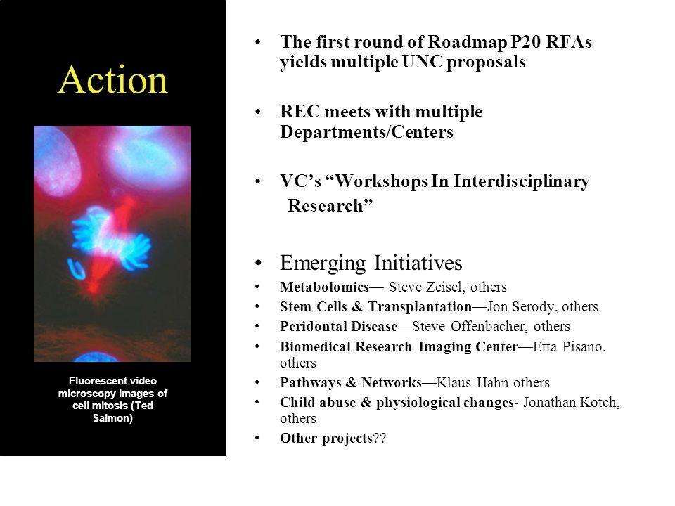 The first round of Roadmap P20 RFAs yields multiple UNC proposals REC meets with multiple Departments/Centers VC’s Workshops In Interdisciplinary Research Emerging Initiatives Metabolomics— Steve Zeisel, others Stem Cells & Transplantation—Jon Serody, others Peridontal Disease—Steve Offenbacher, others Biomedical Research Imaging Center—Etta Pisano, others Pathways & Networks—Klaus Hahn others Child abuse & physiological changes- Jonathan Kotch, others Other projects .