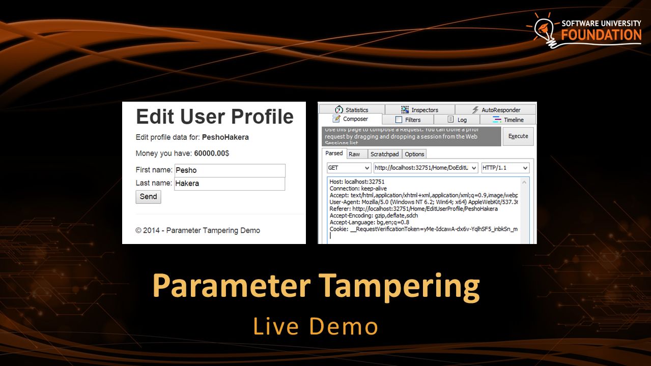 Web Security SQL Injection, XSS, CSRF, Parameter Tampering, DoS