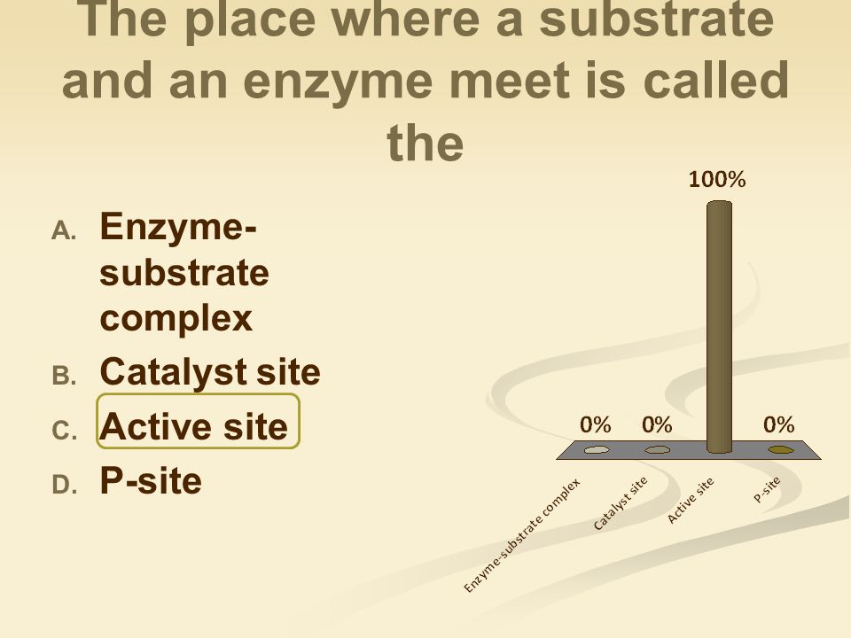 The place where a substrate and an enzyme meet is called the A.
