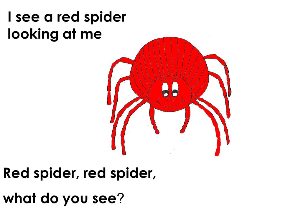 I see a red spider looking at me. Red spider, red spider, what do you see