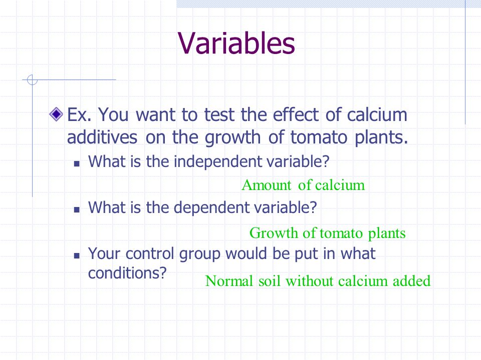 Variables Ex. You want to test the effect of calcium additives on the growth of tomato plants.