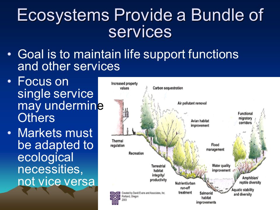 Ecosystems Provide a Bundle of services Goal is to maintain life support functions and other services Focus on single service may undermine Others Markets must be adapted to ecological necessities, not vice versa