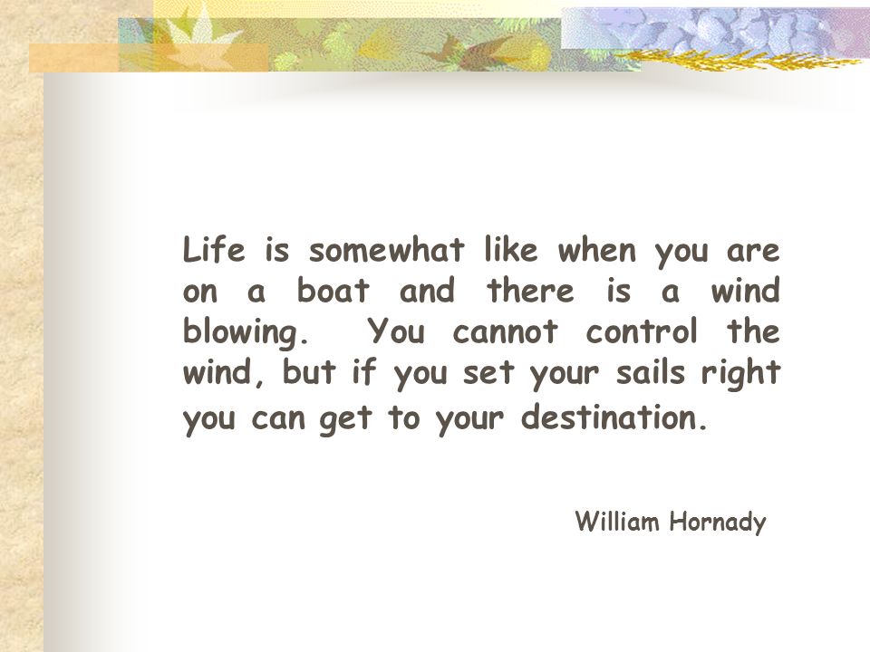 Life is somewhat like when you are on a boat and there is a wind blowing.