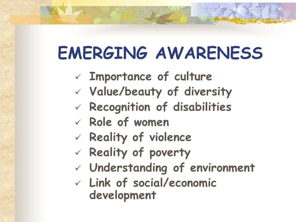 EMERGING AWARENESS Importance of culture Value/beauty of diversity Recognition of disabilities Role of women Reality of violence Reality of poverty Understanding of environment Link of social/economic development