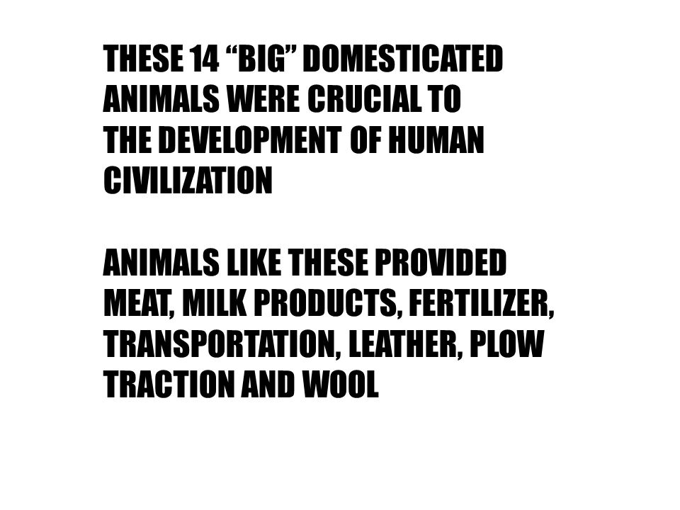 THE ANCIENT FOURTEEN: THE ONLY “BIG” HERBIVOROUS ANIMALS TO BE DOMESTICATED  BY MAN. - ppt download