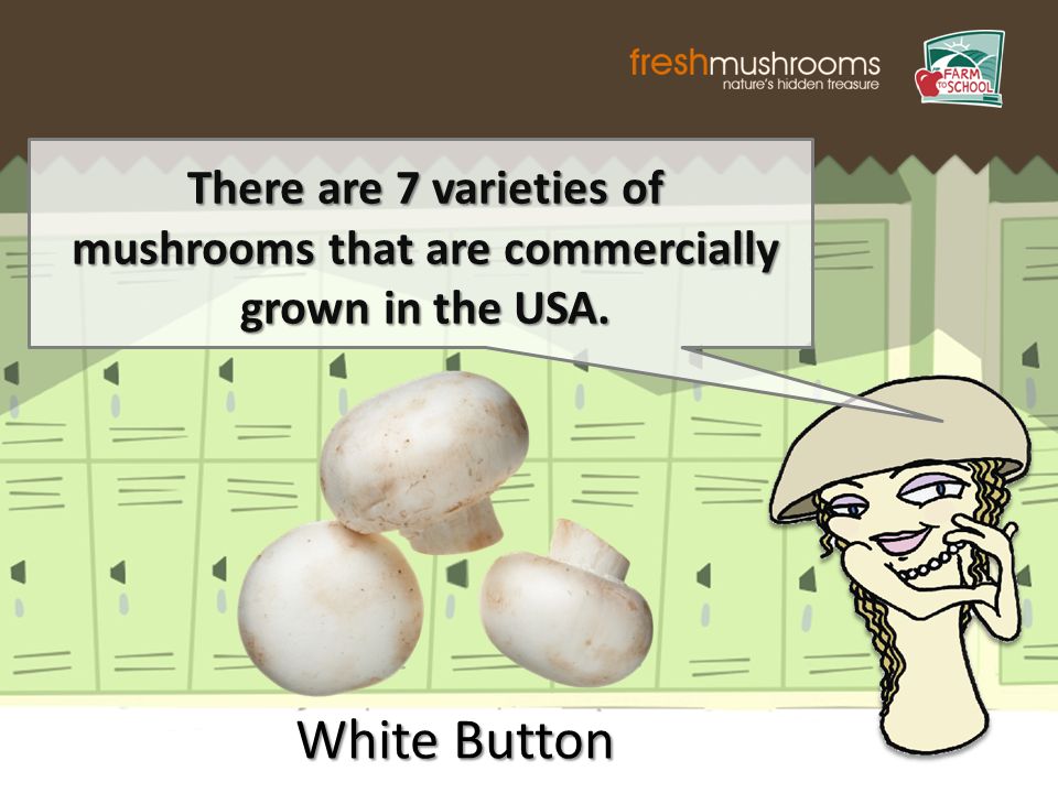 There are 7 varieties of mushrooms that are commercially grown in the USA. White Button