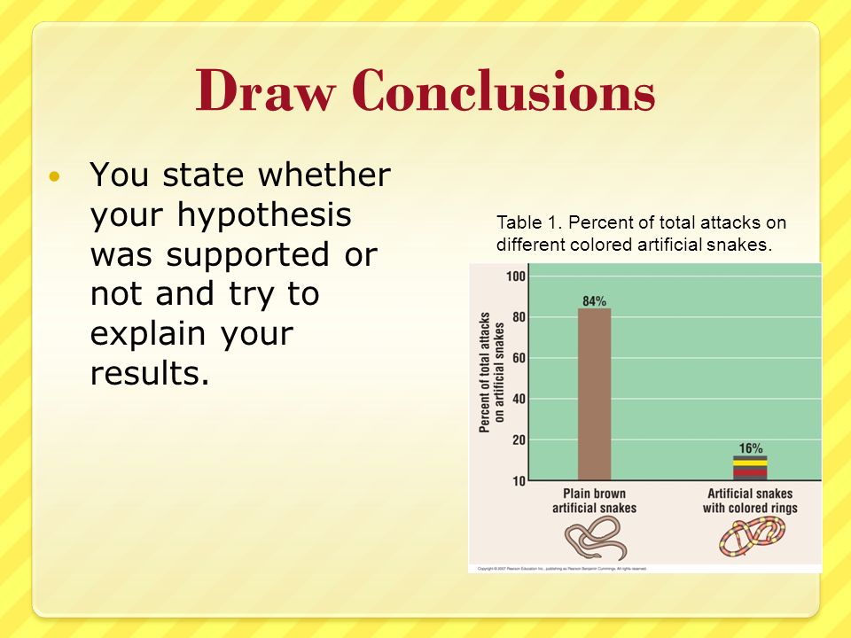 Draw Conclusions You state whether your hypothesis was supported or not and try to explain your results.