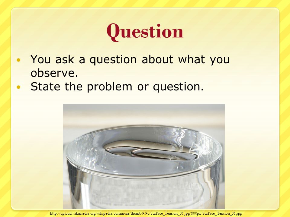 Question You ask a question about what you observe.