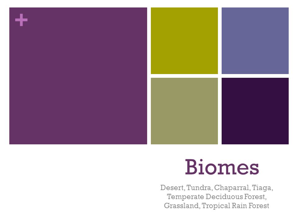 + Biomes Desert, Tundra, Chaparral, Tiaga, Temperate Deciduous Forest, Grassland, Tropical Rain Forest