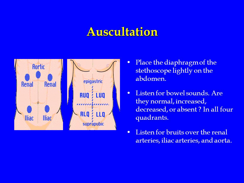 Physical Assessment: The Abdomen Purposes Identifies the anatomical  boundaries of the abdomen. Identifies the functions of abdomen  auscultation, palpation, - ppt download