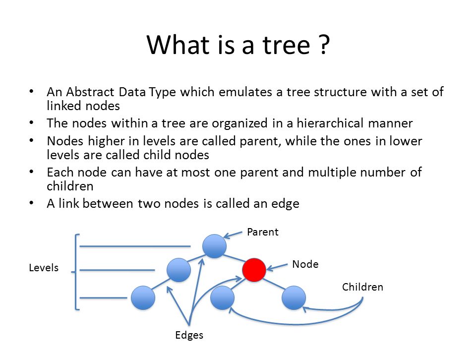 The type hierarchy tree