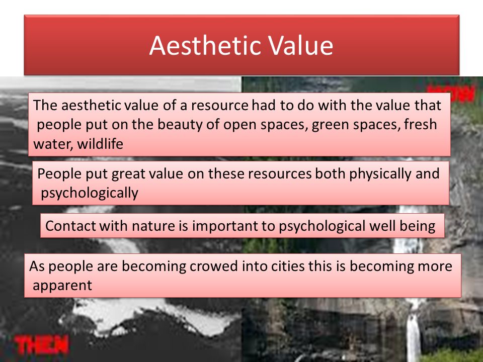 Aesthetic Value The aesthetic value of a resource had to do with the value that people put on the beauty of open spaces, green spaces, fresh water, wildlife The aesthetic value of a resource had to do with the value that people put on the beauty of open spaces, green spaces, fresh water, wildlife People put great value on these resources both physically and psychologically People put great value on these resources both physically and psychologically Contact with nature is important to psychological well being As people are becoming crowed into cities this is becoming more apparent As people are becoming crowed into cities this is becoming more apparent