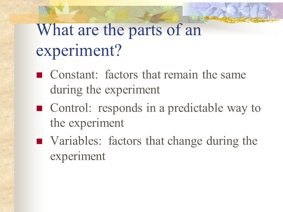 What are the parts of an experiment.