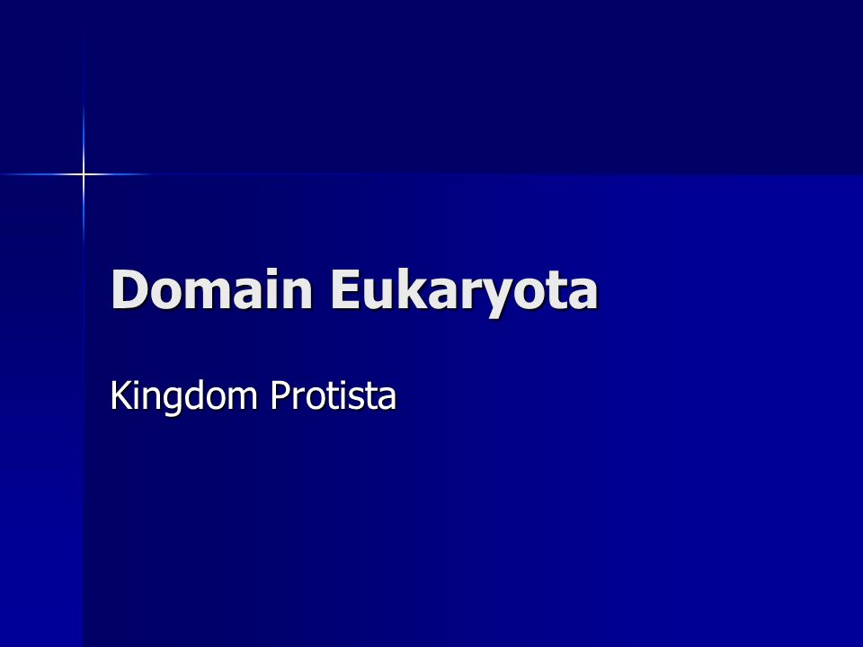Domain Eukaryota Kingdom Protista