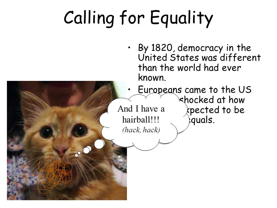Calling for Equality By 1820, democracy in the United States was different than the world had ever known.