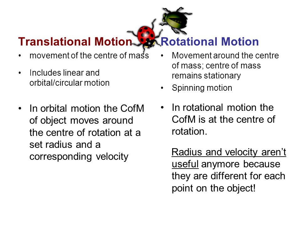 The Ladybugs are undergoing translational motion The disc is experiencing rotational  motion. What's the difference? - ppt download
