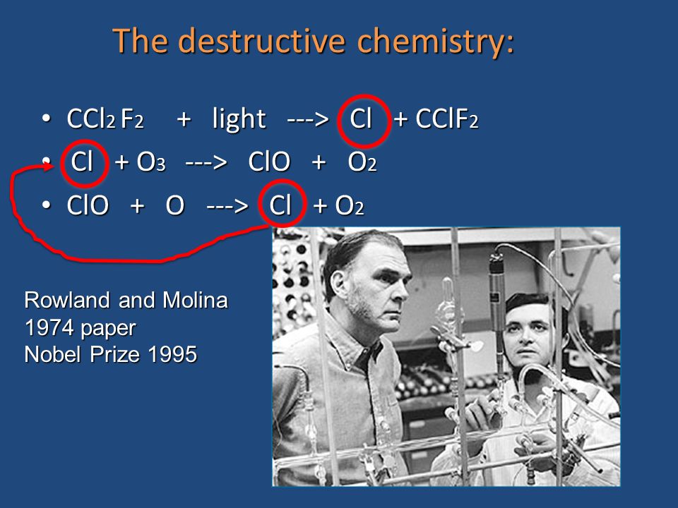 The destructive chemistry: CCl 2 F 2 + light ---> Cl + CClF 2 CCl 2 F 2 + light ---> Cl + CClF 2 Cl + O 3 ---> ClO + O 2 Cl + O 3 ---> ClO + O 2 ClO + O ---> Cl + O 2 ClO + O ---> Cl + O 2 Rowland and Molina 1974 paper Nobel Prize 1995